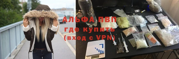 хмурый Дмитров