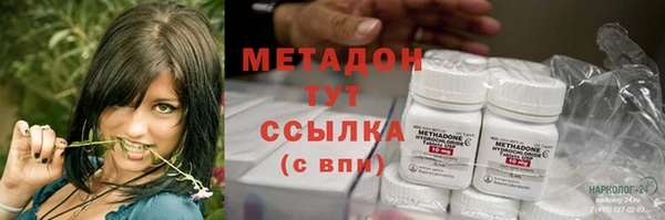 хмурый Дмитров