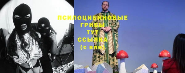 дживик Дмитровск