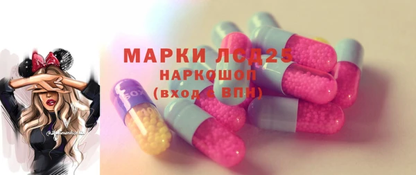 хмурый Дмитров