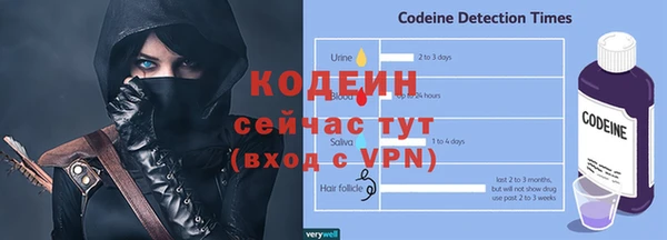 хмурый Дмитров