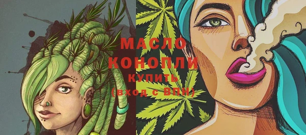 хмурый Дмитров