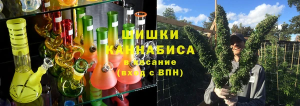 хмурый Дмитров