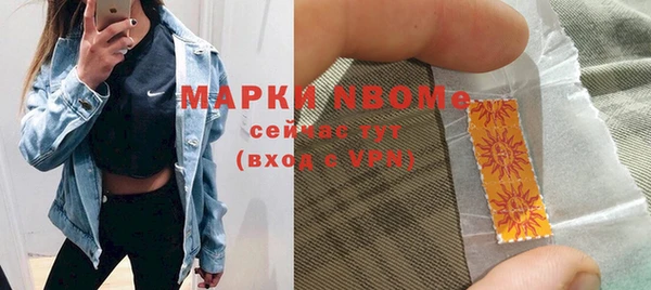 хмурый Дмитров