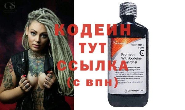 хмурый Дмитров