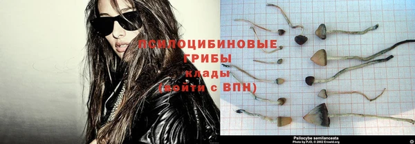 хмурый Дмитров