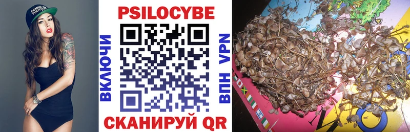 Галлюциногенные грибы GOLDEN TEACHER  Купить закладки  Мглин 